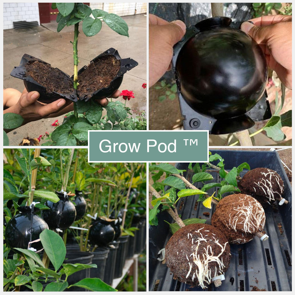 Grow Pod ™ Plant propagation box