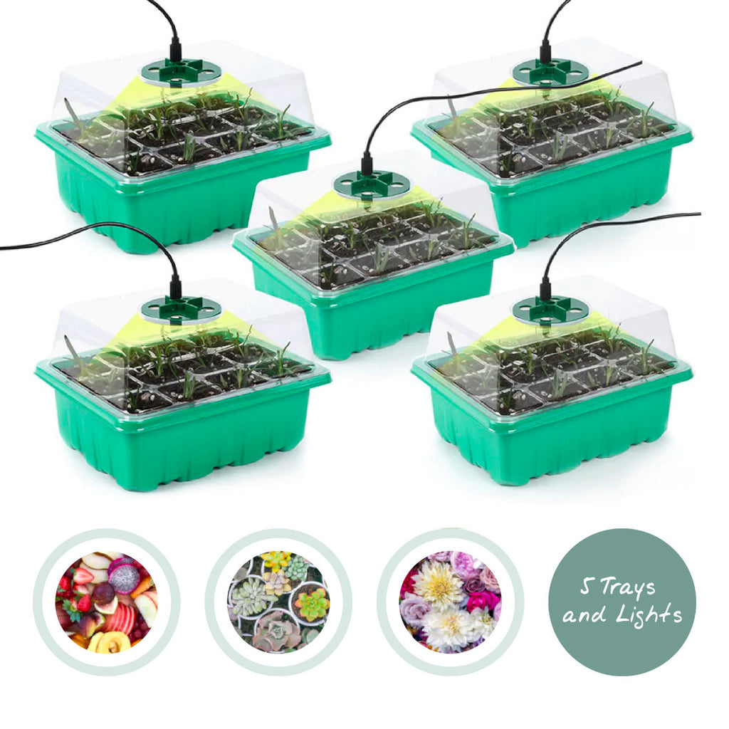 Easy Grow ™ Seedling tray with grow light