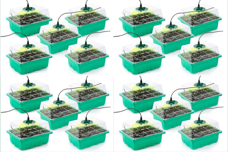 Buy 4 Easy Grow ™ Seedling tray with grow light pk